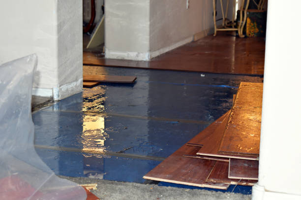 Professional Emergency Water Damage Restoration technician working in Dry Creek, WV